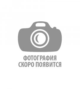 Назарова Елена Александровна